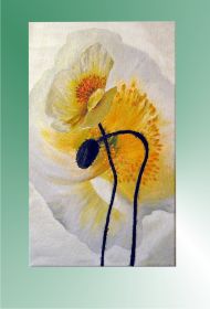 Schneerose   2012.JPG