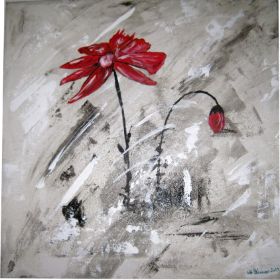 Mohn 40 x 40 cm.jpg