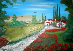 Toscana roter Mohn.jpg