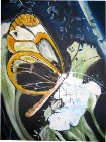 Schmetterling